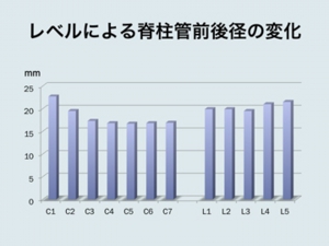 前後径平均値.jpg