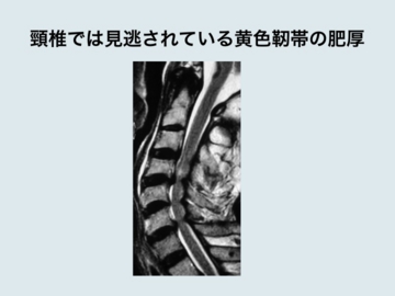 スライド077.jpg