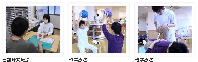 言語聴覚療法 / 作業療法 / 理学療法